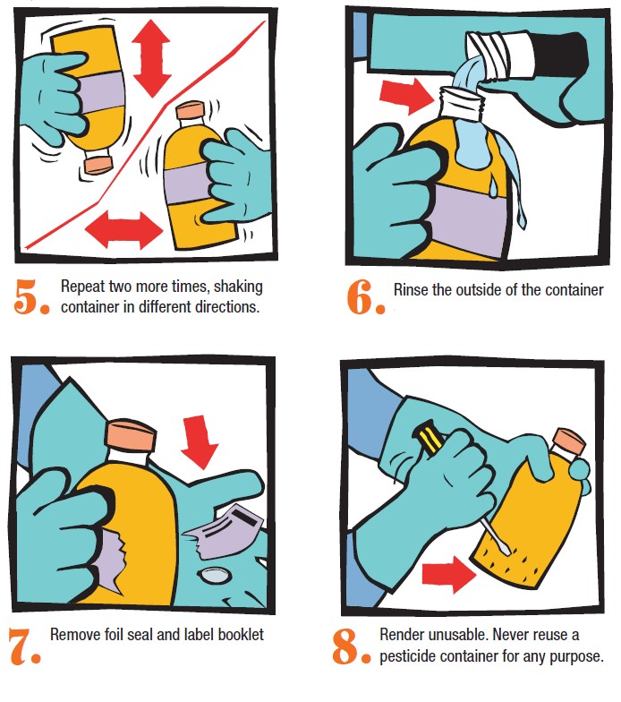 Infographic steps 5-8 for disposla of empty pesticide containers (full text below)